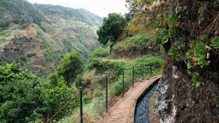 Levada path near Ponta do Sol in Madeira
