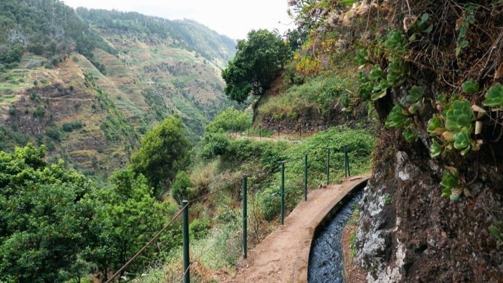 Levada path near Ponta do Sol in Madeira