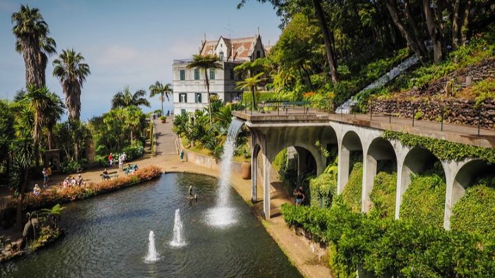 Tropical garden, lake and lush plants at Monte Palace in Madeira